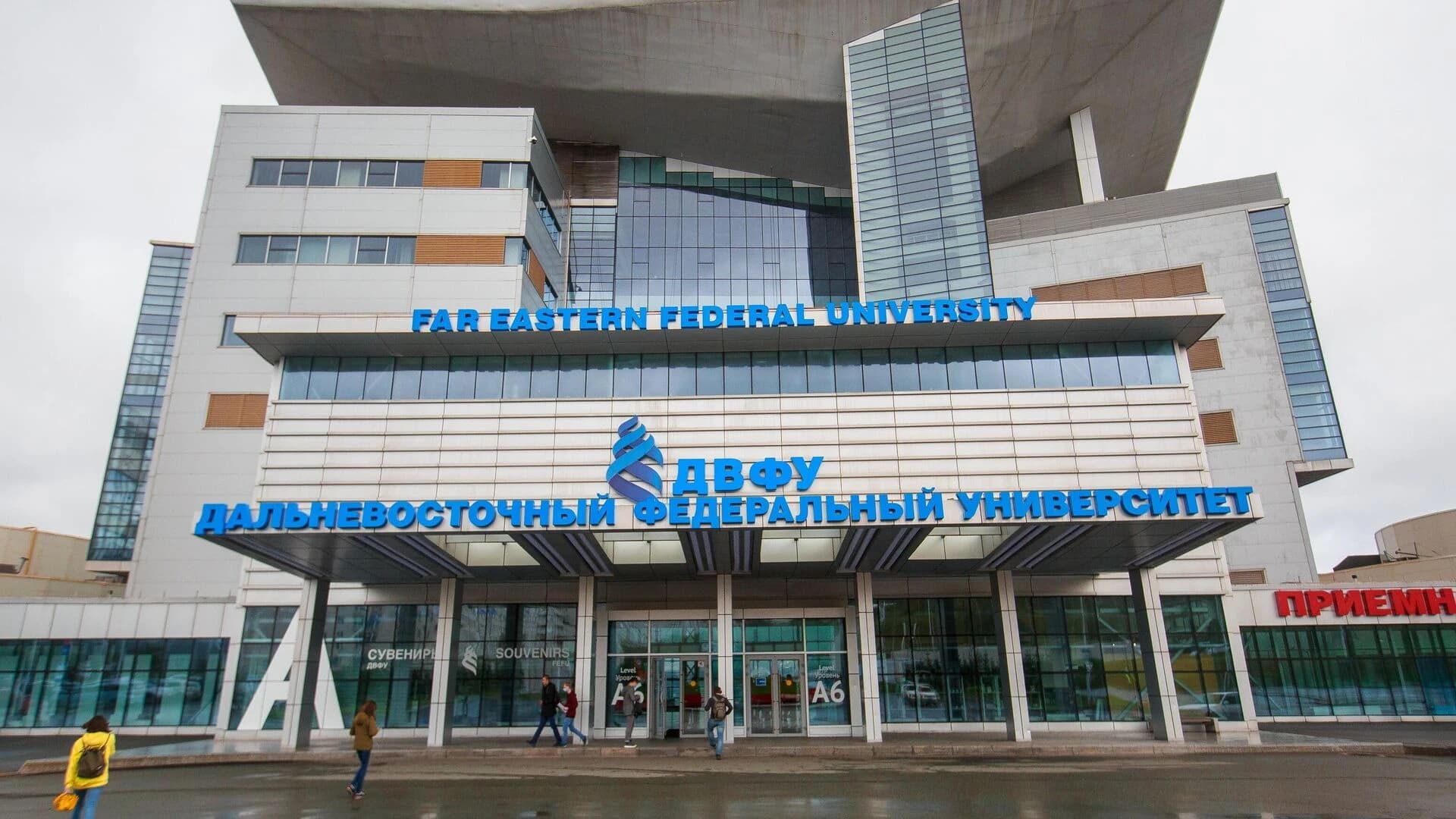 Дистанционное обучение ДВФУ: доступность и гибкость образования